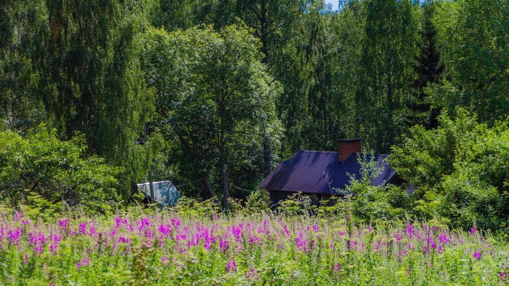 Rajan Loma Cottages Йоэнсуу Экстерьер фото