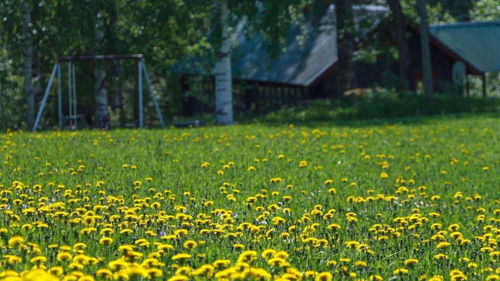 Rajan Loma Cottages Йоэнсуу Номер фото